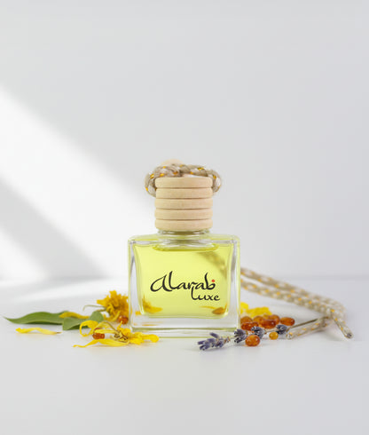 Boutique - Car Diffuser