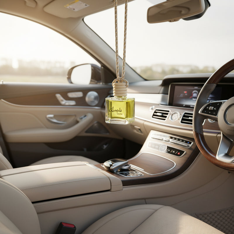 Luxury Car Diffusers  ✨
