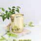Green Bamboo Premium Jar Candle